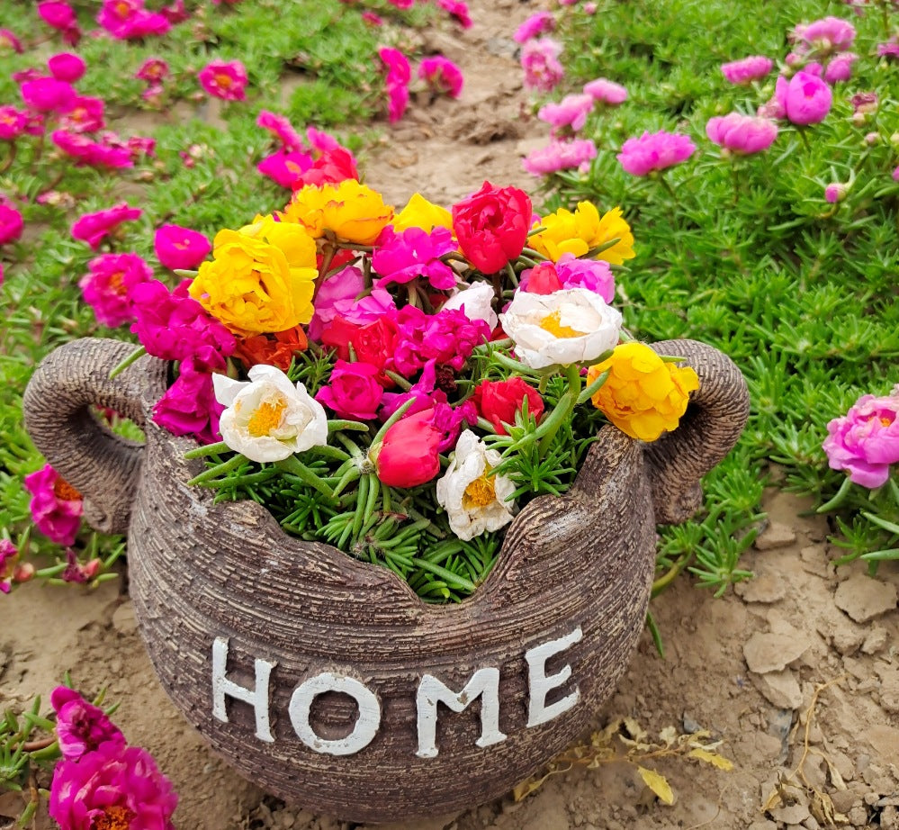 [I70]Peony mixed color flower seeds